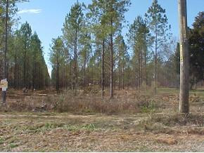 4375 Bath-Edie Road Hephzibah, GA 30815 - Photo 1 of 1 Main View
