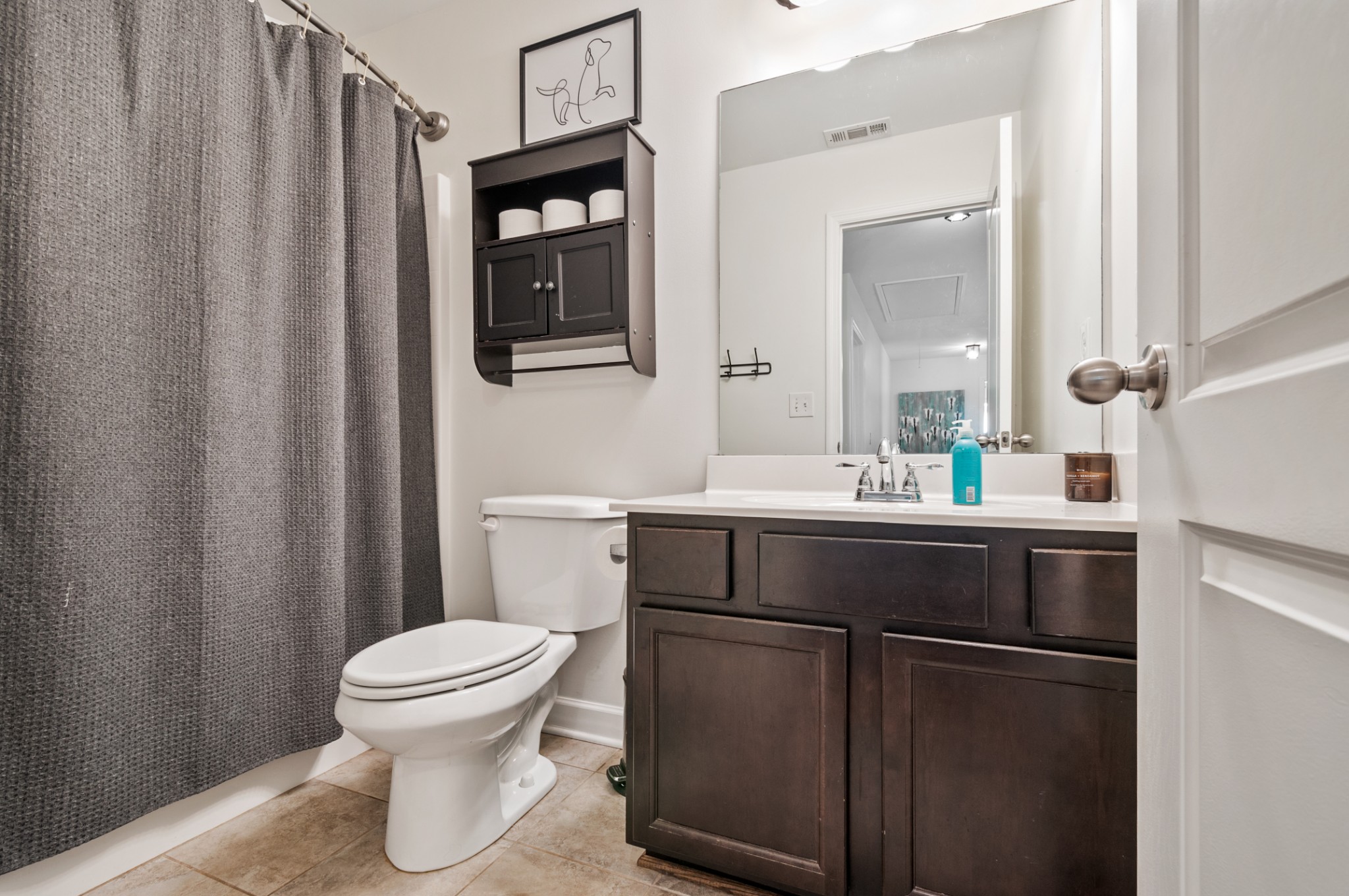 3056 Everleigh Place Spring Hill, TN 37174 - Photo 30 of 43 a bathroom with a sink toilet and mirror