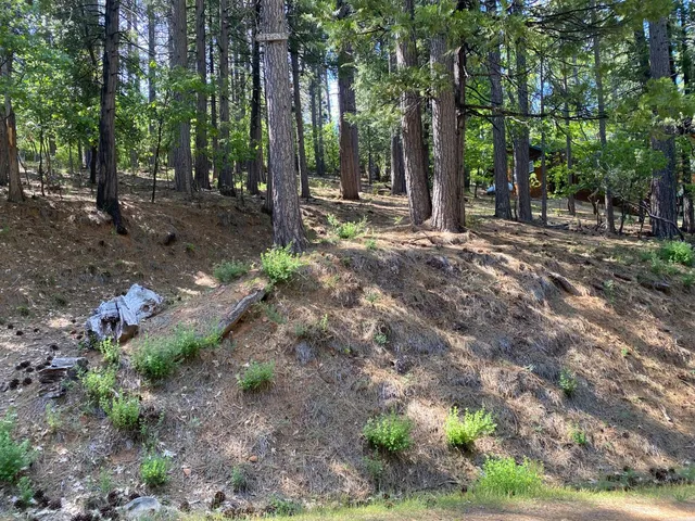 $19,000 | 2946 Venado Drive, Arnold, CA 95223