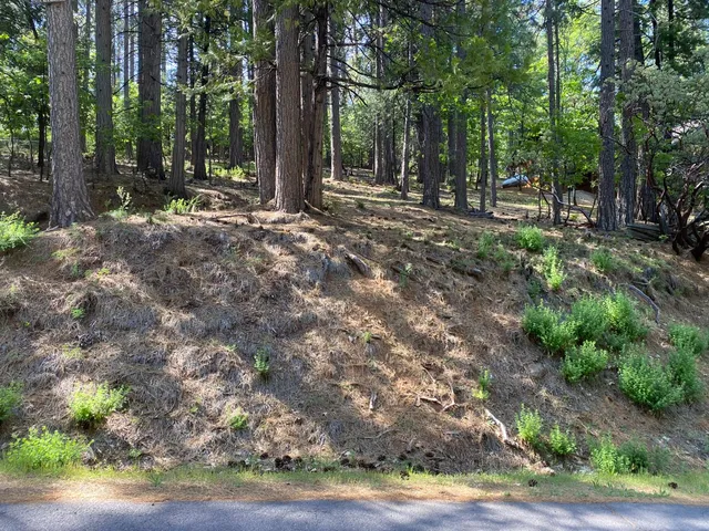 $19,000 | 2946 Venado Drive, Arnold, CA 95223