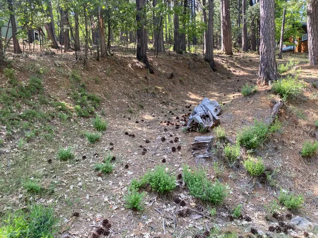 $19,000 | 2946 Venado Drive, Arnold, CA 95223