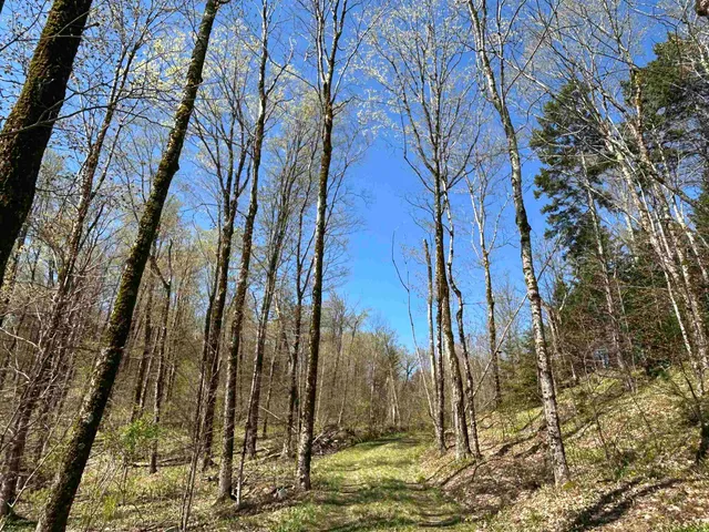 $300,000 | 0 Deep Gibou Road, Montgomery Center, VT 05471