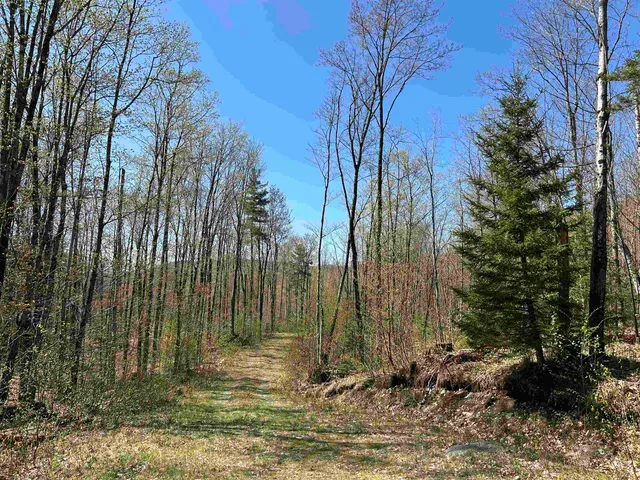 $300,000 | 0 Deep Gibou Road, Montgomery Center, VT 05471