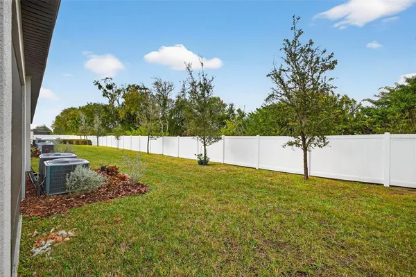 a view of a yard in front of a house with plants and large tree