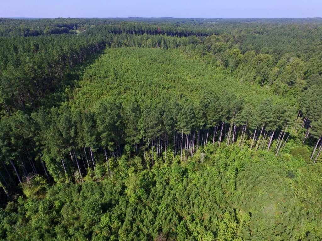 0 Allgood Road Chase City, VA 23924 - Photo 5 of 31 Gallery Image 5