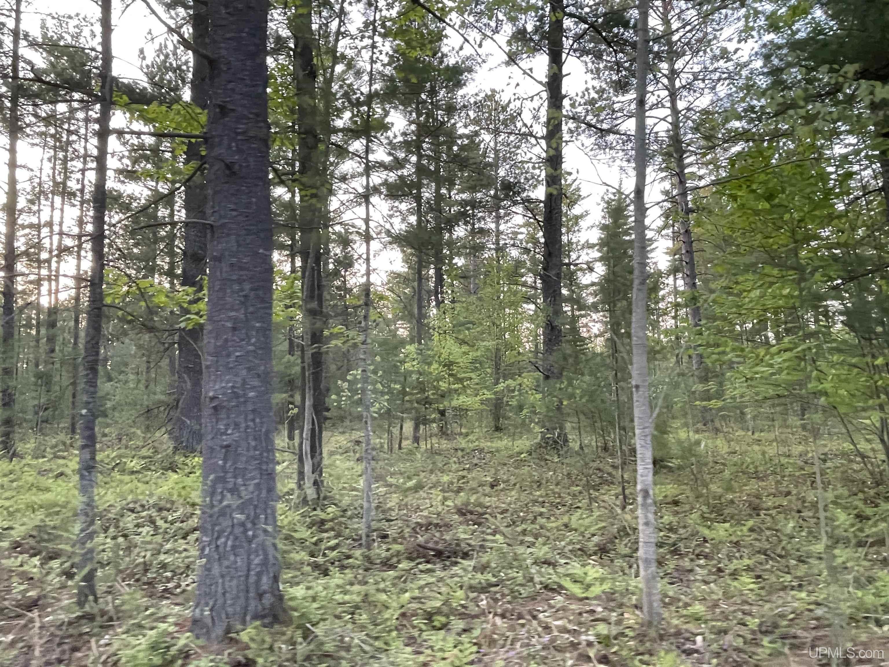 6627 West Co Road Manistique, MI 49854 - Photo 29 of 33