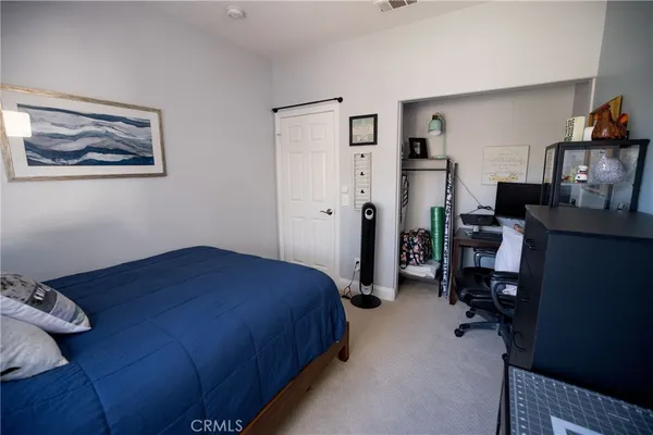 a view of a park with large trees