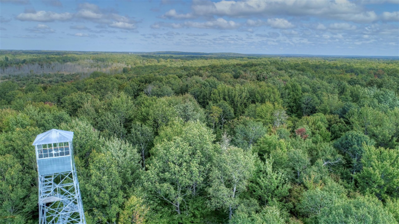 779 North Sharon Road Southeast Fife Lake, MI 49633 - Photo 11 of 27
