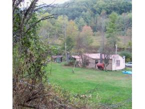 1870 Edwards Branch Road Erwin, TN 37650 - Photo 1 of 3 Photo 1