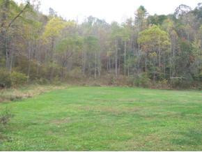 1870 Edwards Branch Road Erwin, TN 37650 - Photo 3 of 3 Photo 3