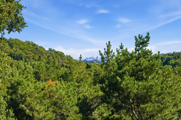 $3,395,000 | 41 Magdalena Court, Mill Valley, CA 94941