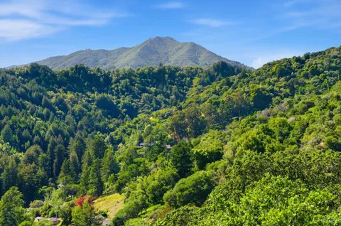 $3,395,000 | 41 Magdalena Court, Mill Valley, CA 94941