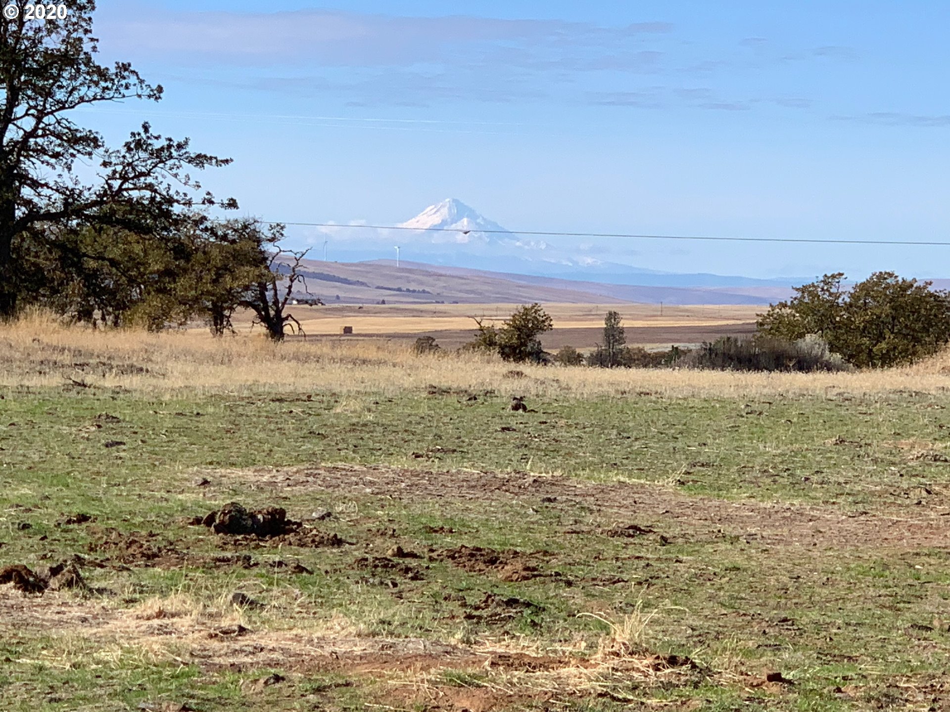 884 Saxton Bane Road Goldendale, WA 98620 - Photo 15 of 32 Gallery Image 15