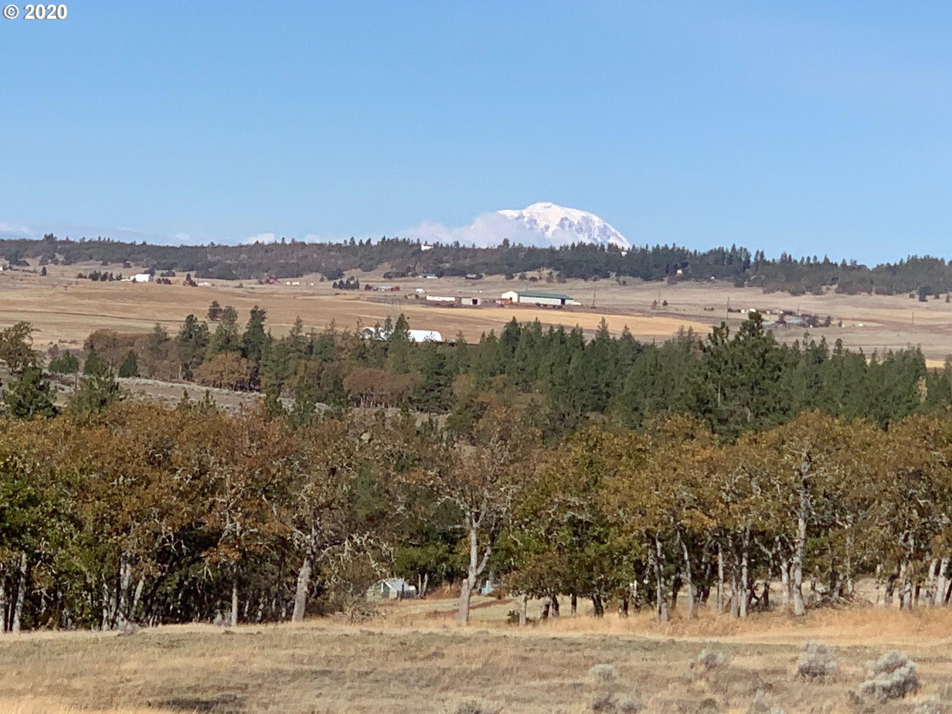 884 Saxton Bane Road Goldendale, WA 98620 - Photo 6 of 32 Gallery Image 6