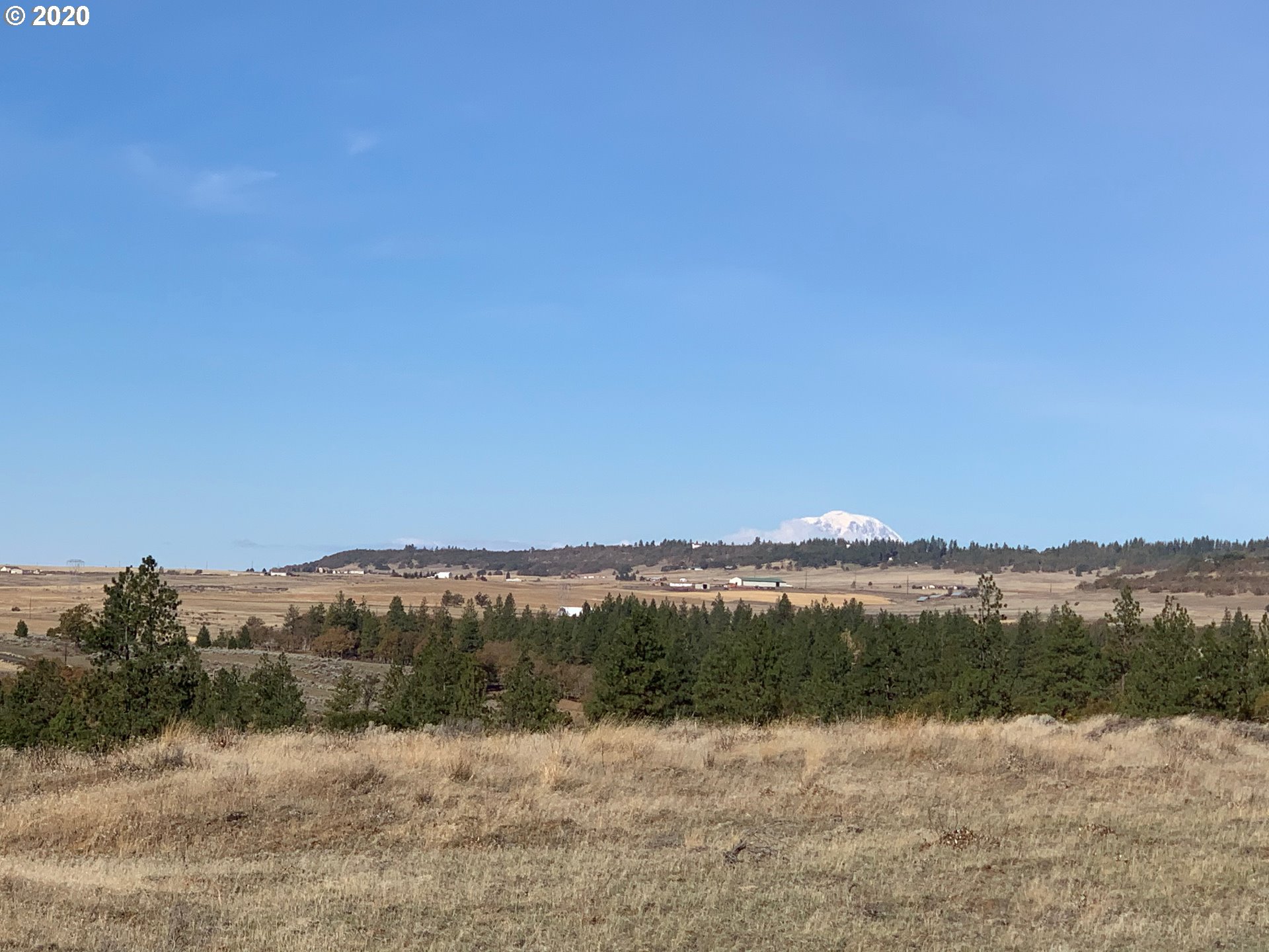 884 Saxton Bane Road Goldendale, WA 98620 - Photo 7 of 32 Gallery Image 7