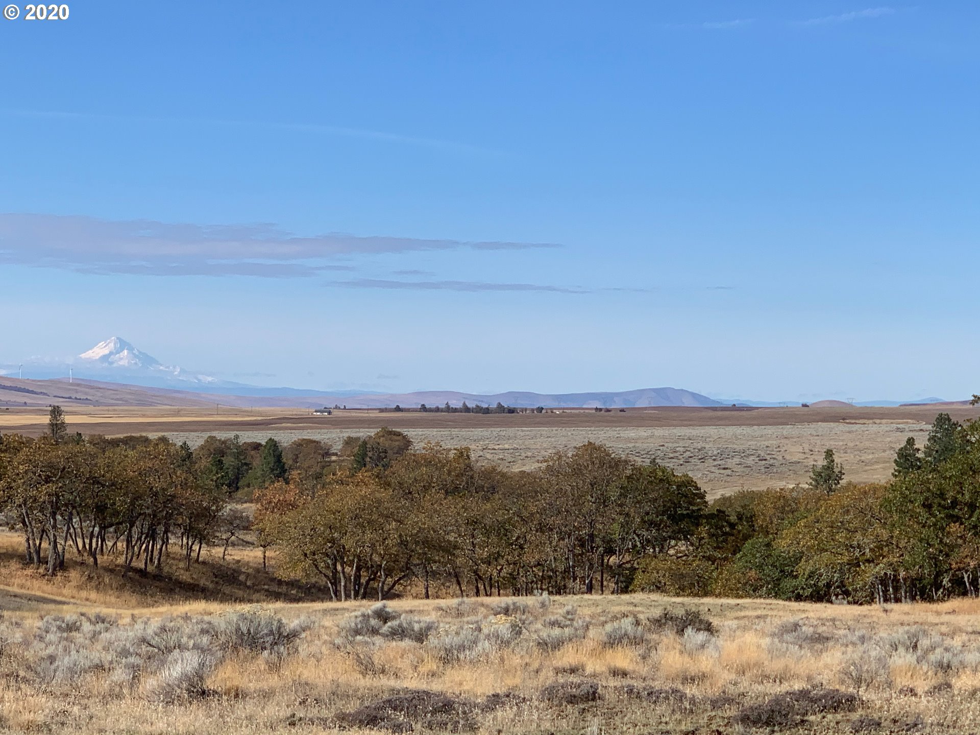 884 Saxton Bane Road Goldendale, WA 98620 - Photo 8 of 32 Gallery Image 8