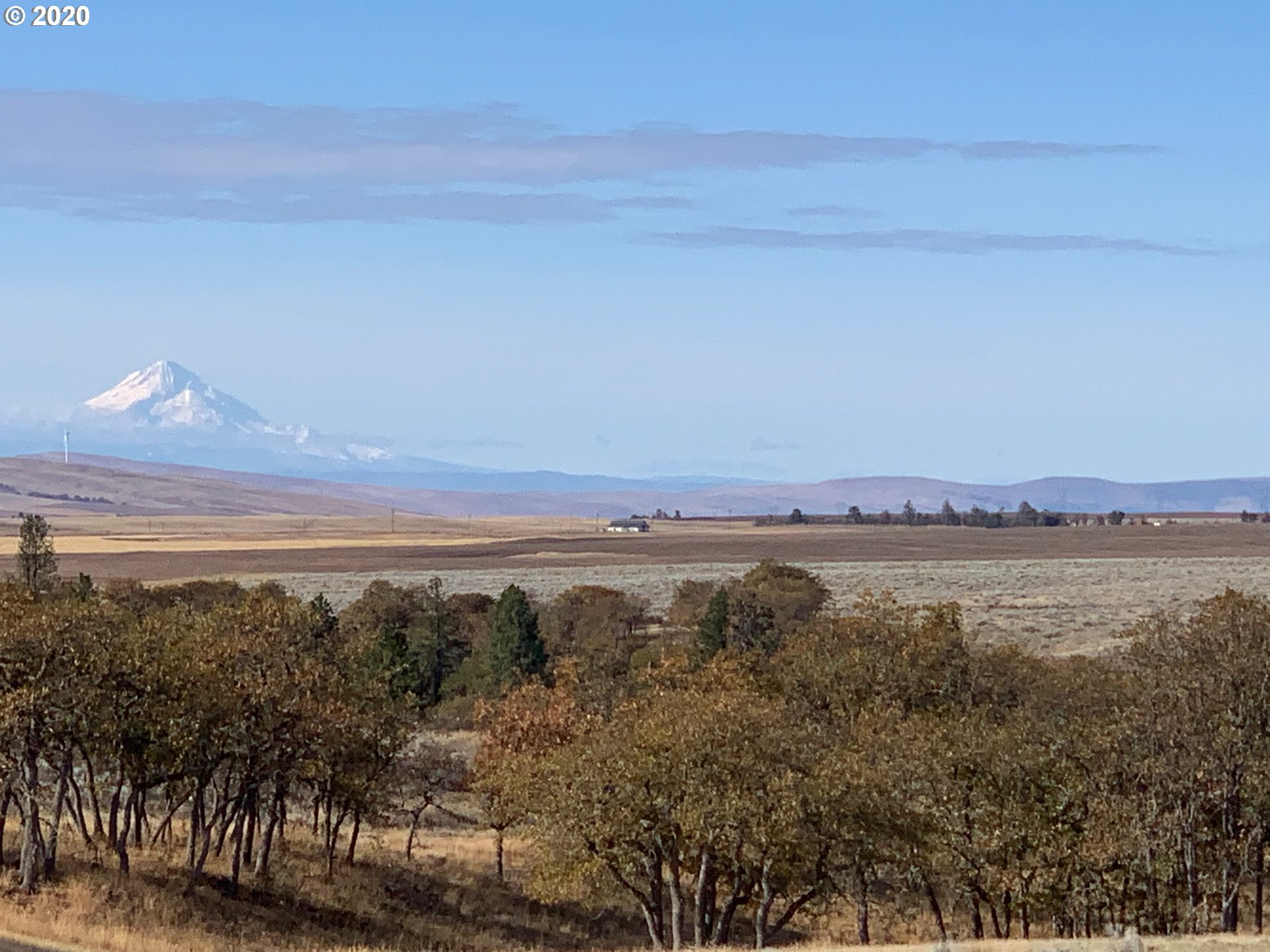 884 Saxton Bane Road Goldendale, WA 98620 - Photo 9 of 32 Gallery Image 9