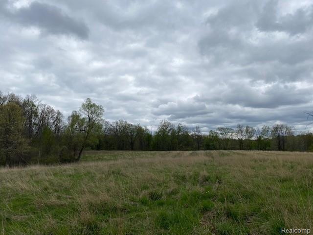 4789 Brocker Road Goodrich, MI 48438 - Photo 11 of 14