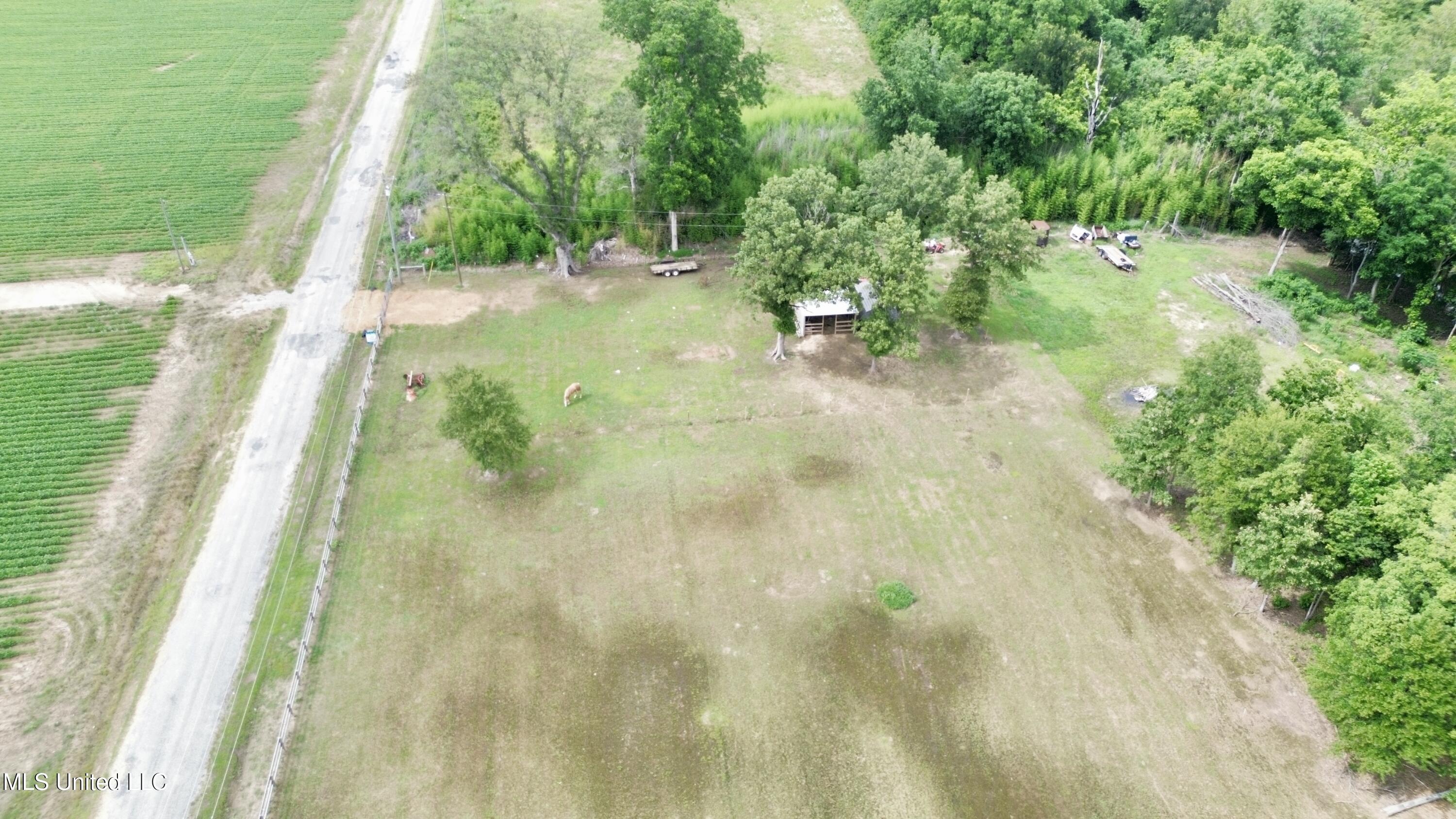 Blue Lake Road Drew, MS 38737 - Photo 13 of 23 dji_fly_20250526_184650_269_174852467393