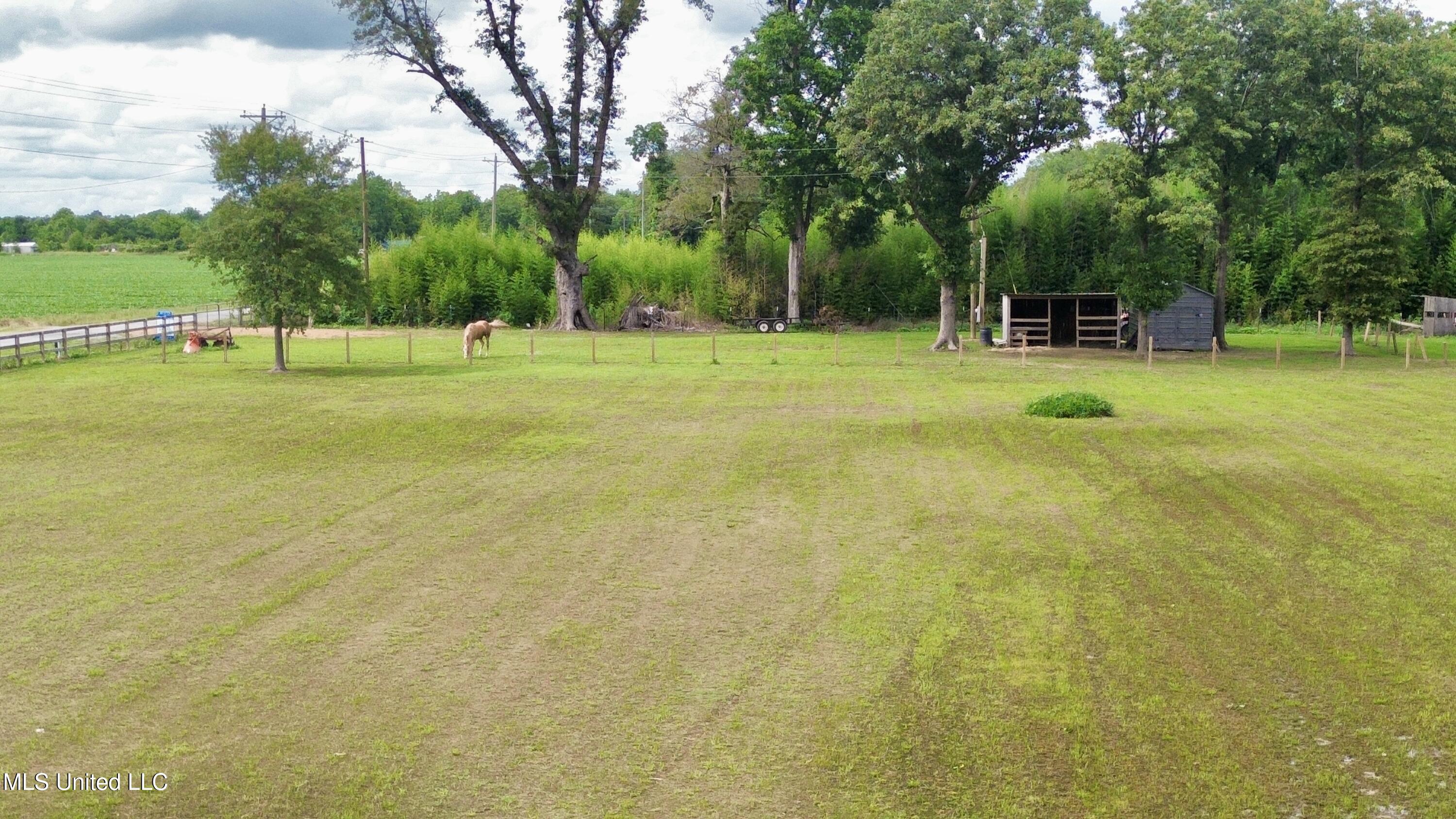 Blue Lake Road Drew, MS 38737 - Photo 16 of 23 dji_fly_20250526_184734_272_174852467225