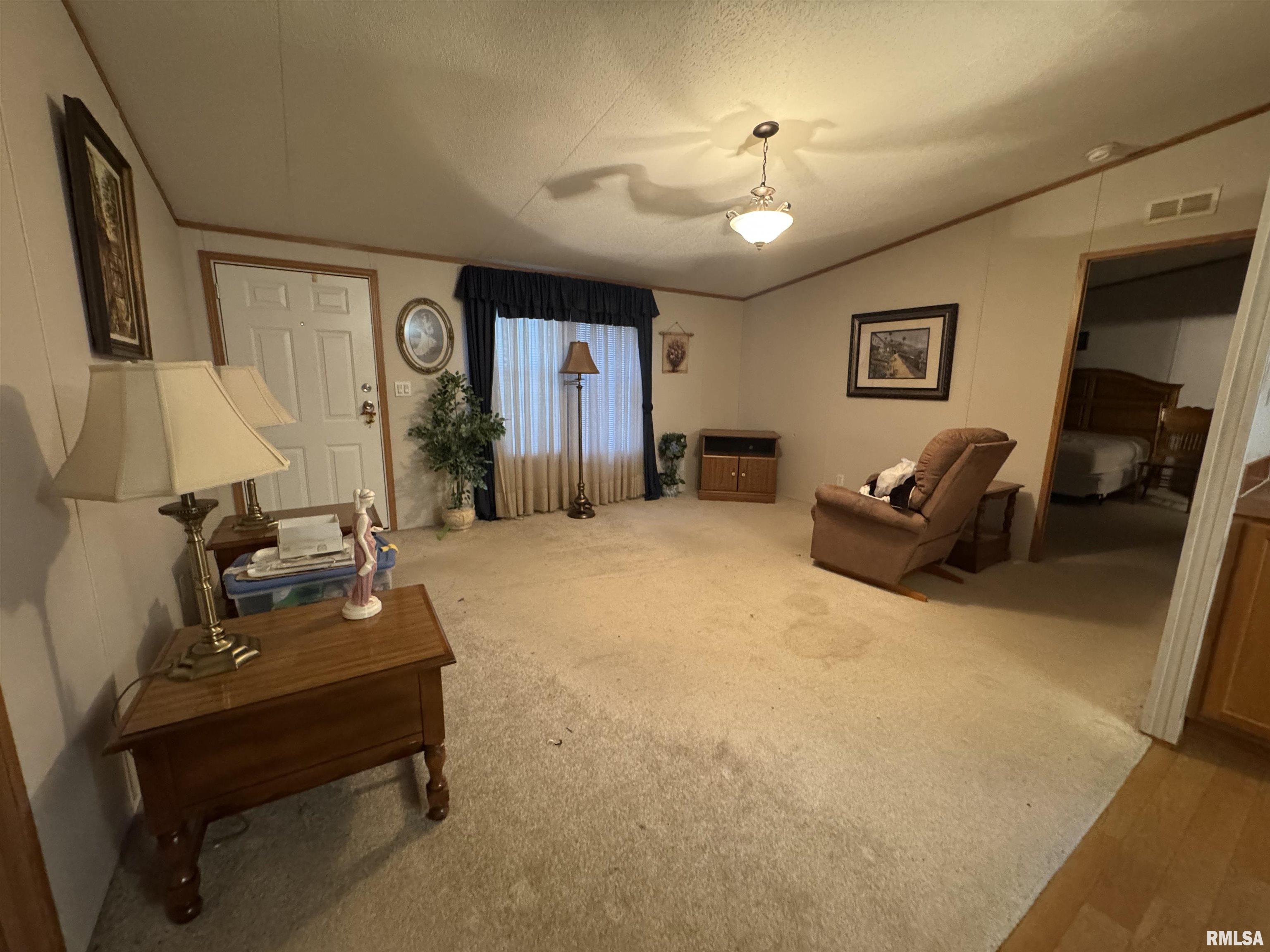 6985 Izaac Walton Road Benton, IL 62812 - Photo 10 of 19