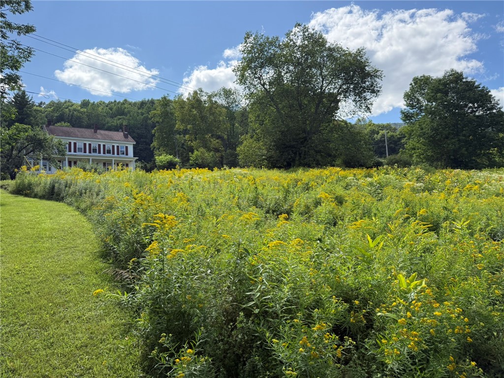 0 Lower Meeker Hollow Road Roxbury, NY 12474 - Photo 9 of 10 Gallery Image 9