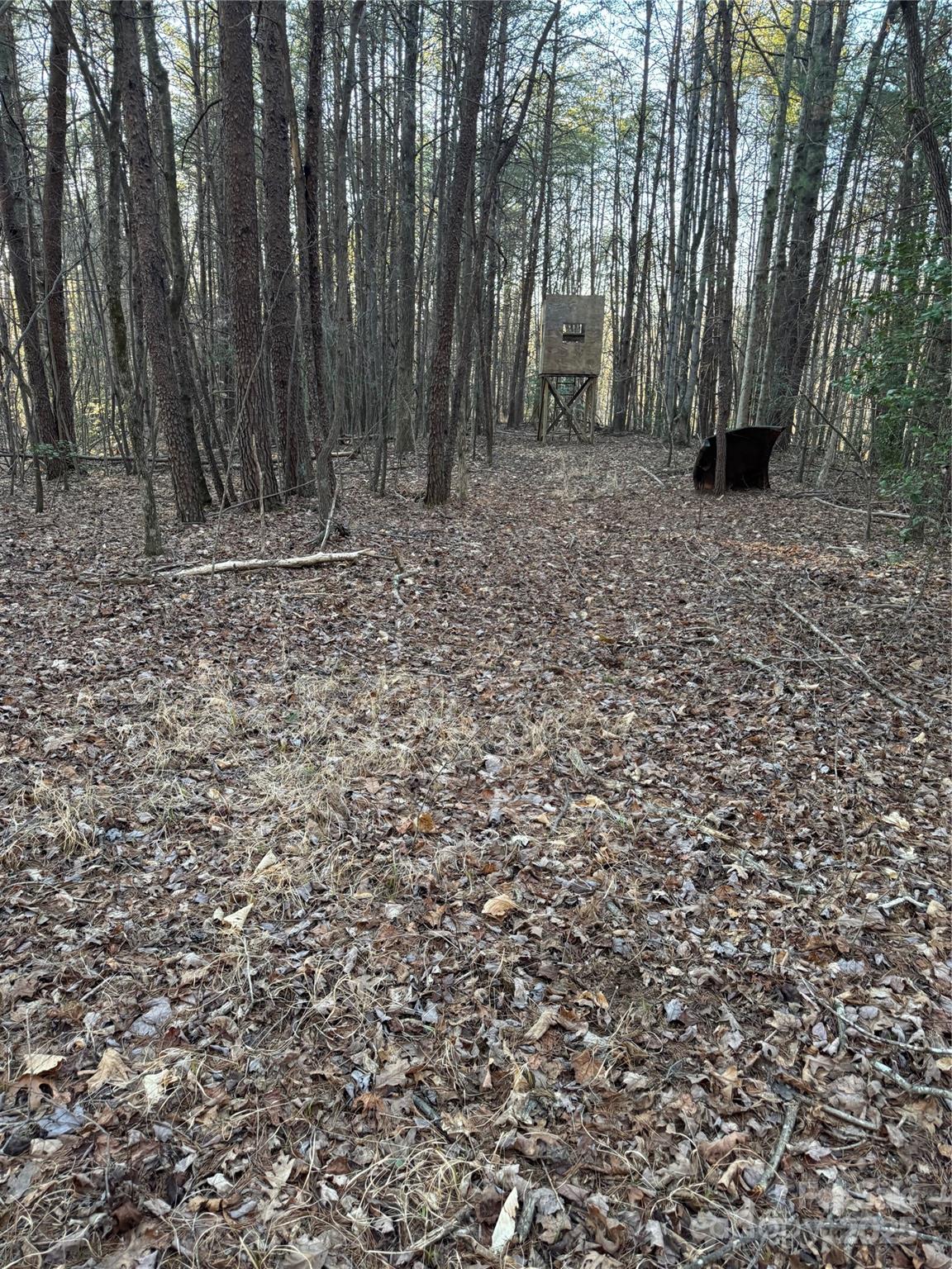 Tbd Sheriffs Road Lenoir, NC 28645 - Photo 11 of 25 Gallery Image 11