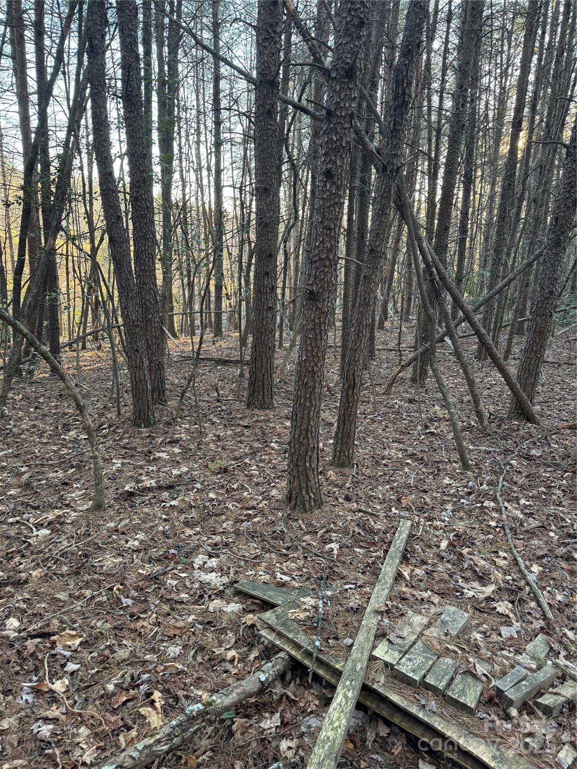 Tbd Sheriffs Road Lenoir, NC 28645 - Photo 12 of 25 Gallery Image 12