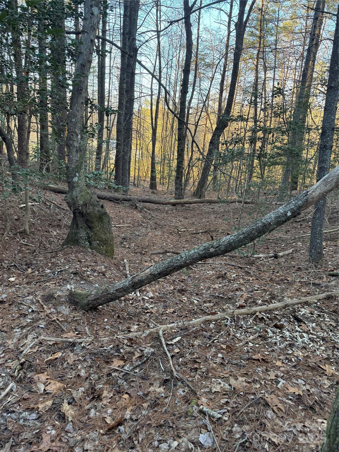 Tbd Sheriffs Road Lenoir, NC 28645 - Photo 13 of 25 Gallery Image 13