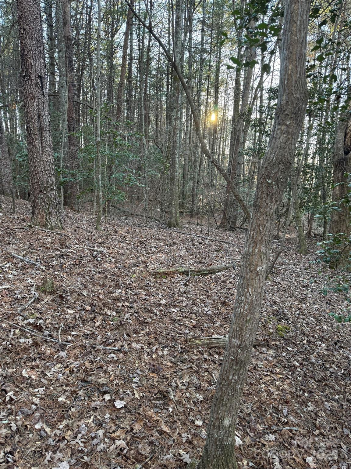 Tbd Sheriffs Road Lenoir, NC 28645 - Photo 14 of 25 Gallery Image 14