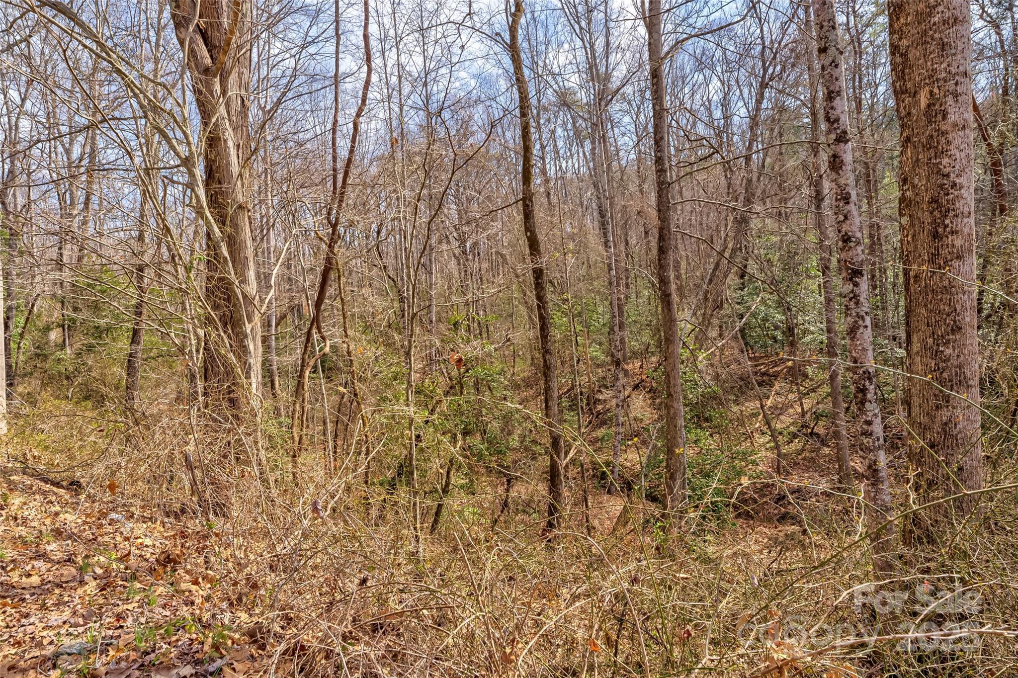 Tbd Sheriffs Road Lenoir, NC 28645 - Photo 16 of 25 Gallery Image 16