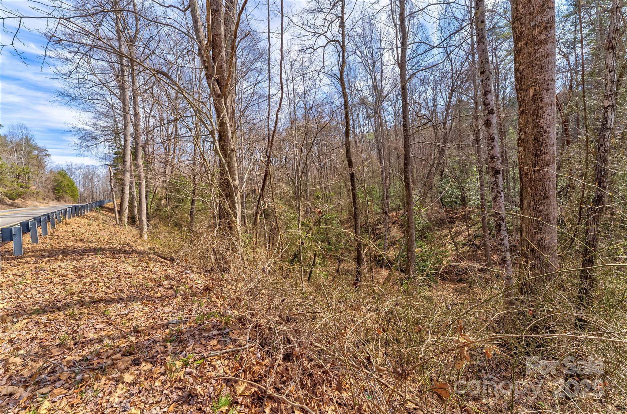 Tbd Sheriffs Road Lenoir, NC 28645 - Photo 17 of 25 Gallery Image 17