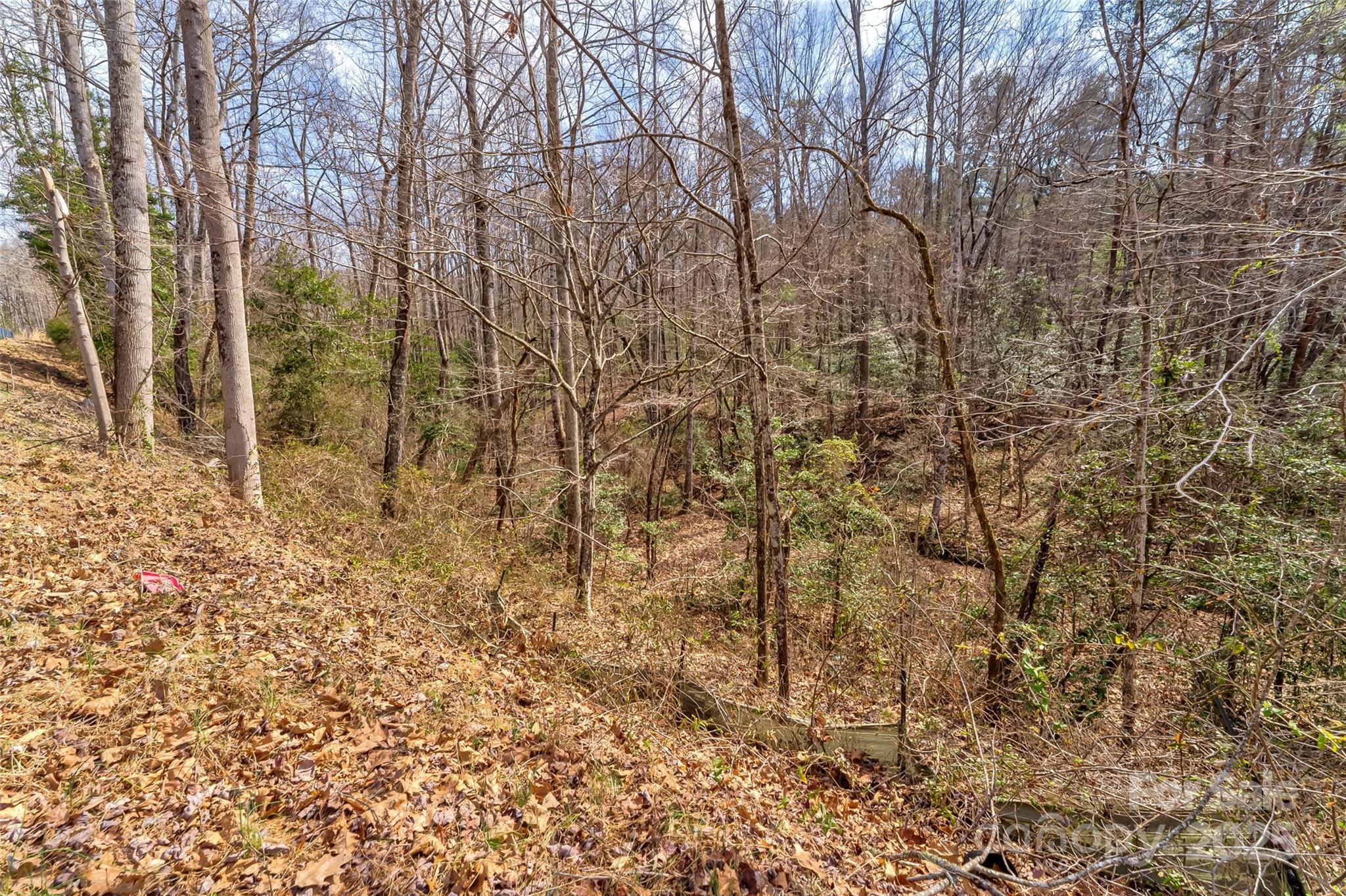 Tbd Sheriffs Road Lenoir, NC 28645 - Photo 18 of 25 Gallery Image 18
