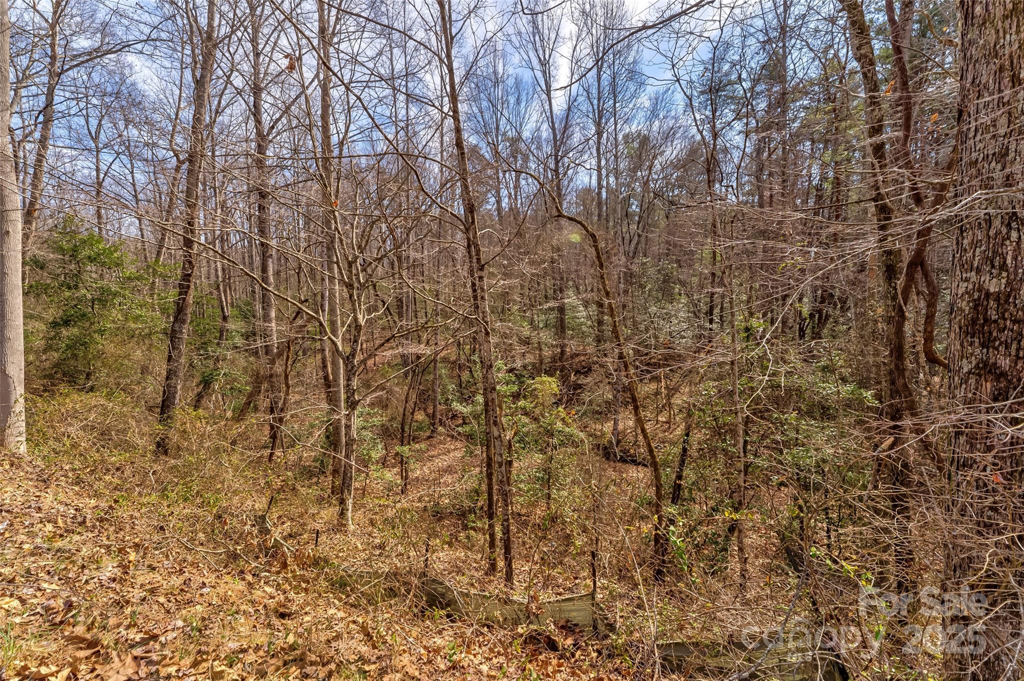 Tbd Sheriffs Road Lenoir, NC 28645 - Photo 19 of 25 Gallery Image 19