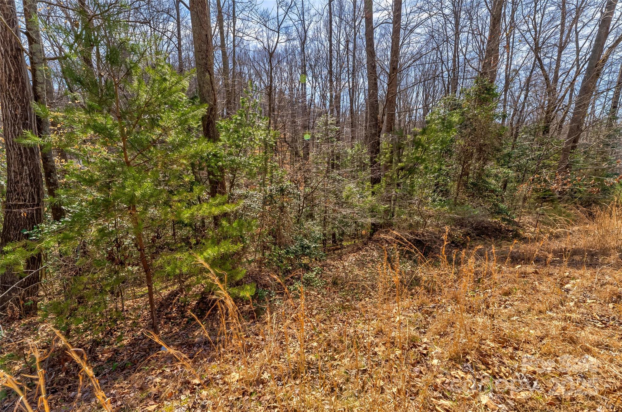 Tbd Sheriffs Road Lenoir, NC 28645 - Photo 21 of 25 Gallery Image 21