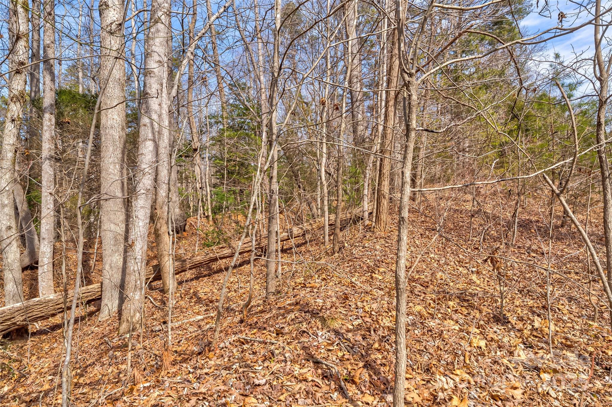 Tbd Sheriffs Road Lenoir, NC 28645 - Photo 6 of 25 Gallery Image 6