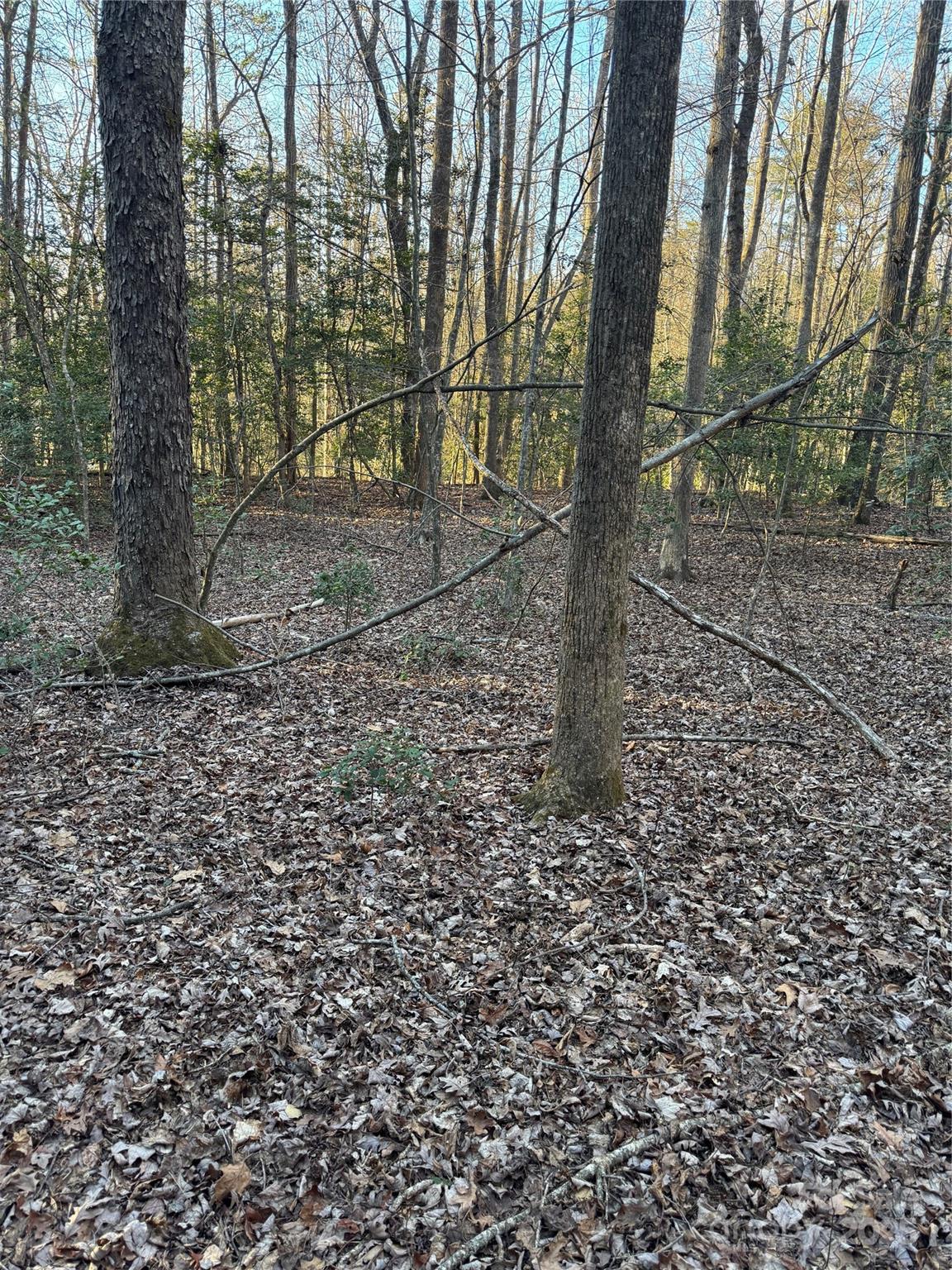 Tbd Sheriffs Road Lenoir, NC 28645 - Photo 7 of 25 Gallery Image 7