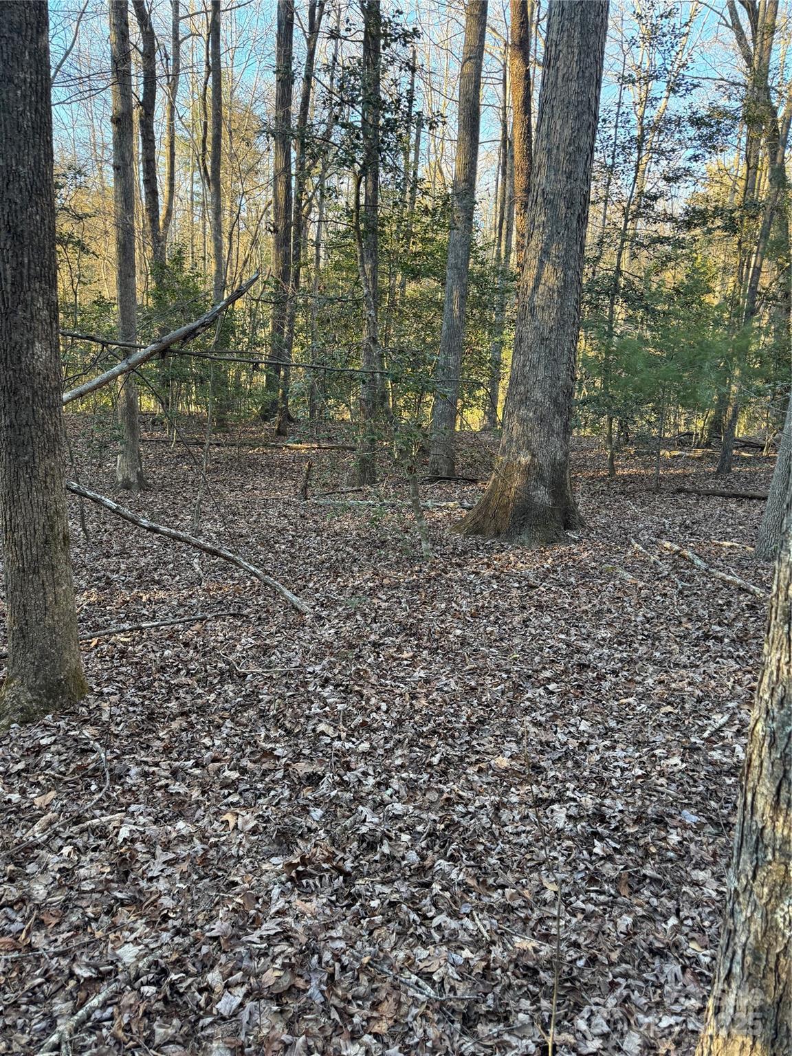 Tbd Sheriffs Road Lenoir, NC 28645 - Photo 8 of 25 Gallery Image 8