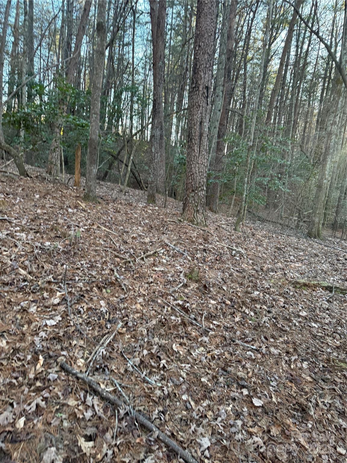 Tbd Sheriffs Road Lenoir, NC 28645 - Photo 9 of 25 Gallery Image 9