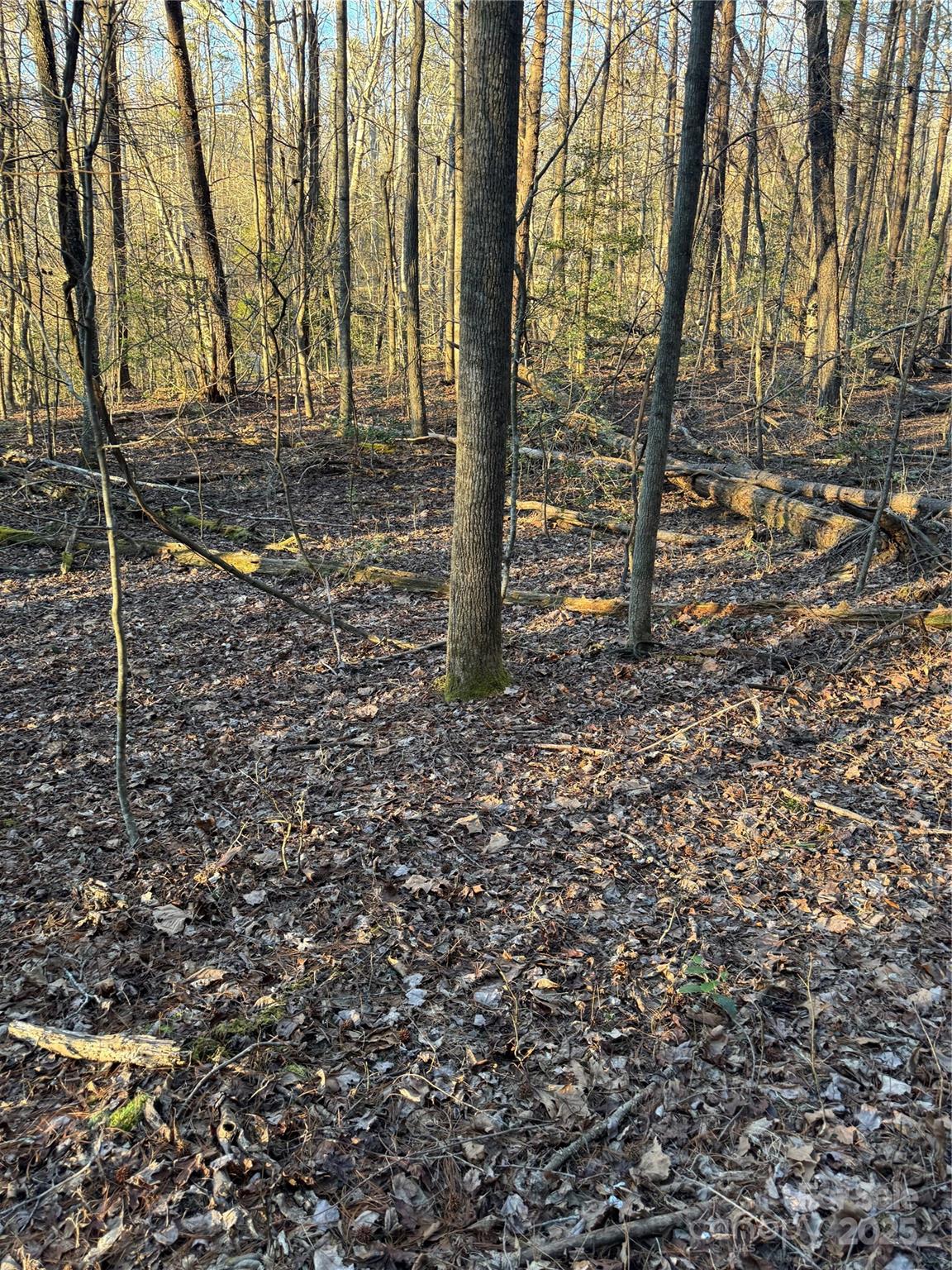 Tbd Sheriffs Road Lenoir, NC 28645 - Photo 10 of 25 Gallery Image 10