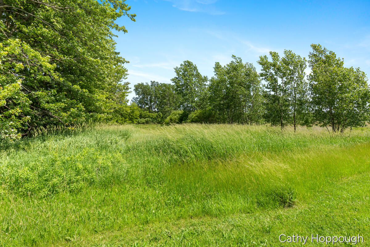 0 East Portland Road Portland, MI 48875 - Photo 14 of 26 3128-Portland_014