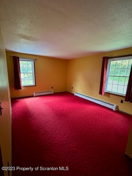3951 State Rte 2067 Kingsley, PA 18826 - Photo 21 of 36 Gallery Image 21