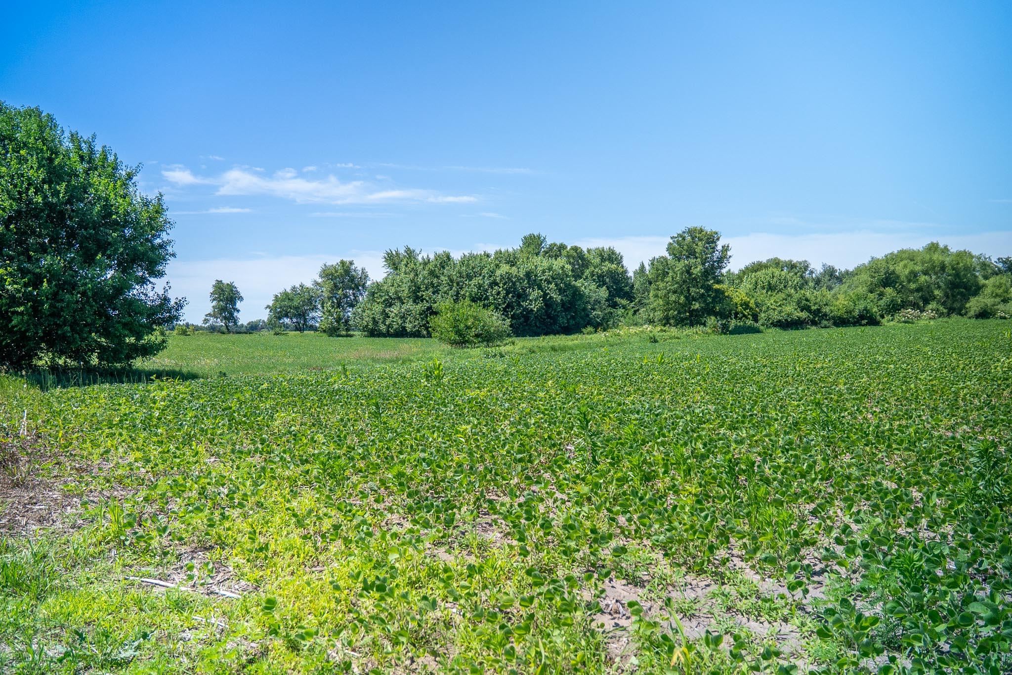 0 Inlet Road Amboy, IL 61310 - Photo 62 of 83