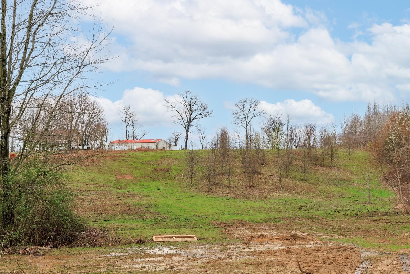 925 Pisgah Road Brighton, TN 38011 - Photo 7 of 25 Gallery Image 7