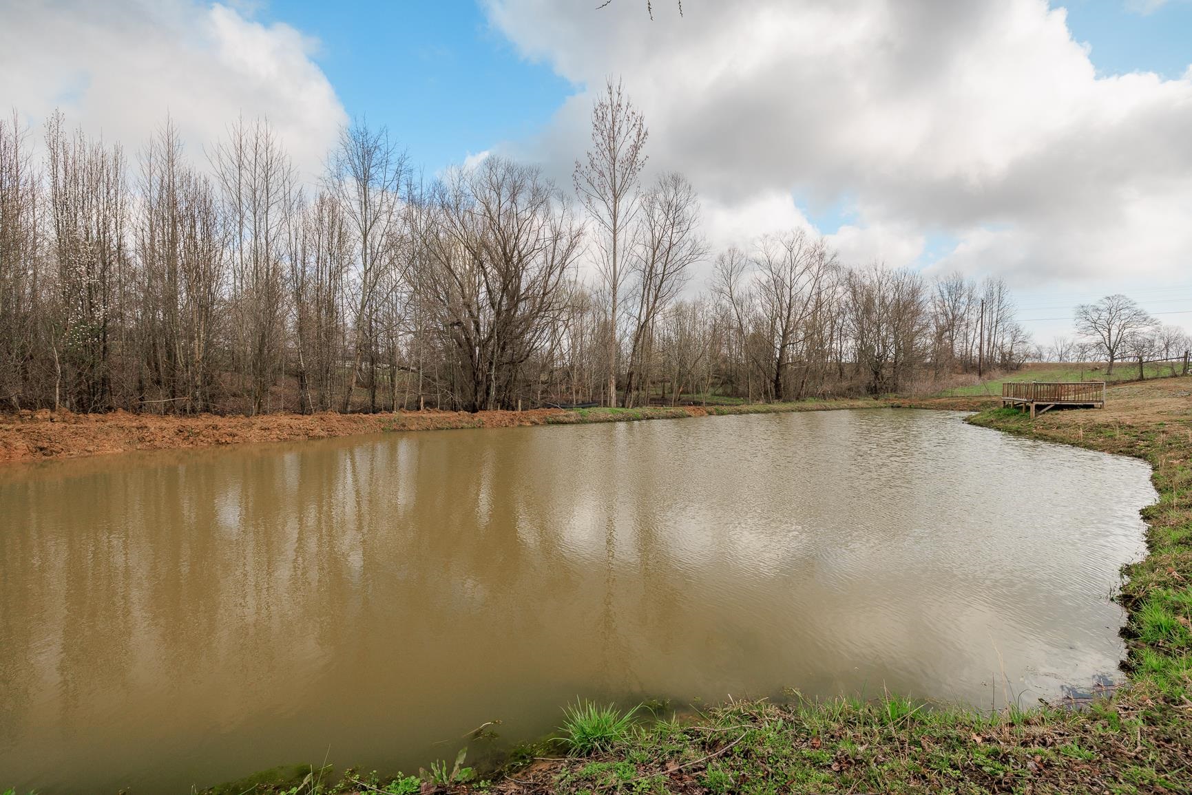 925 Pisgah Road Brighton, TN 38011 - Photo 8 of 25 Gallery Image 8