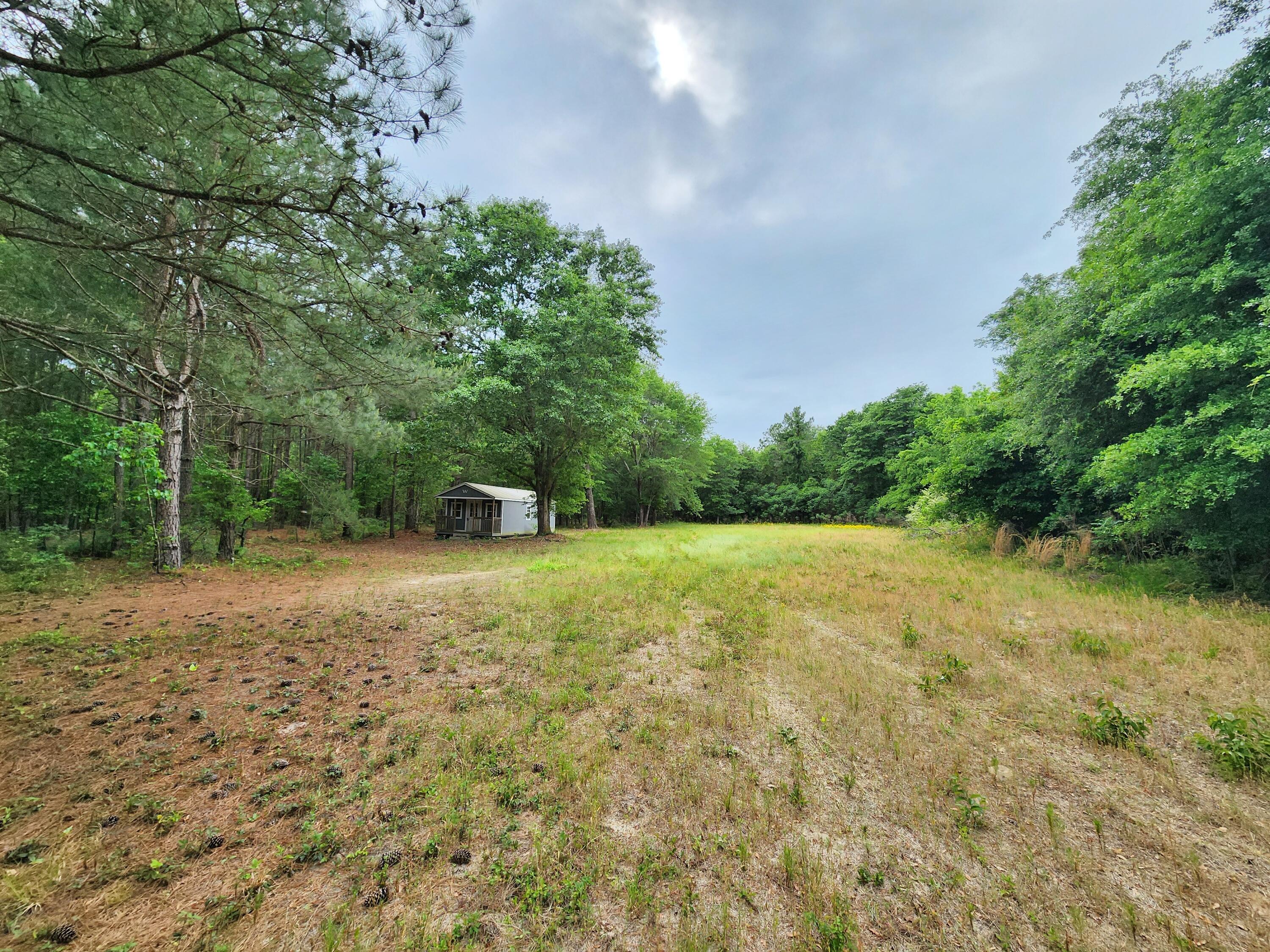 Lot 0 Weeks Road Williston, SC 29853 - Photo 15 of 19 20240427_163417