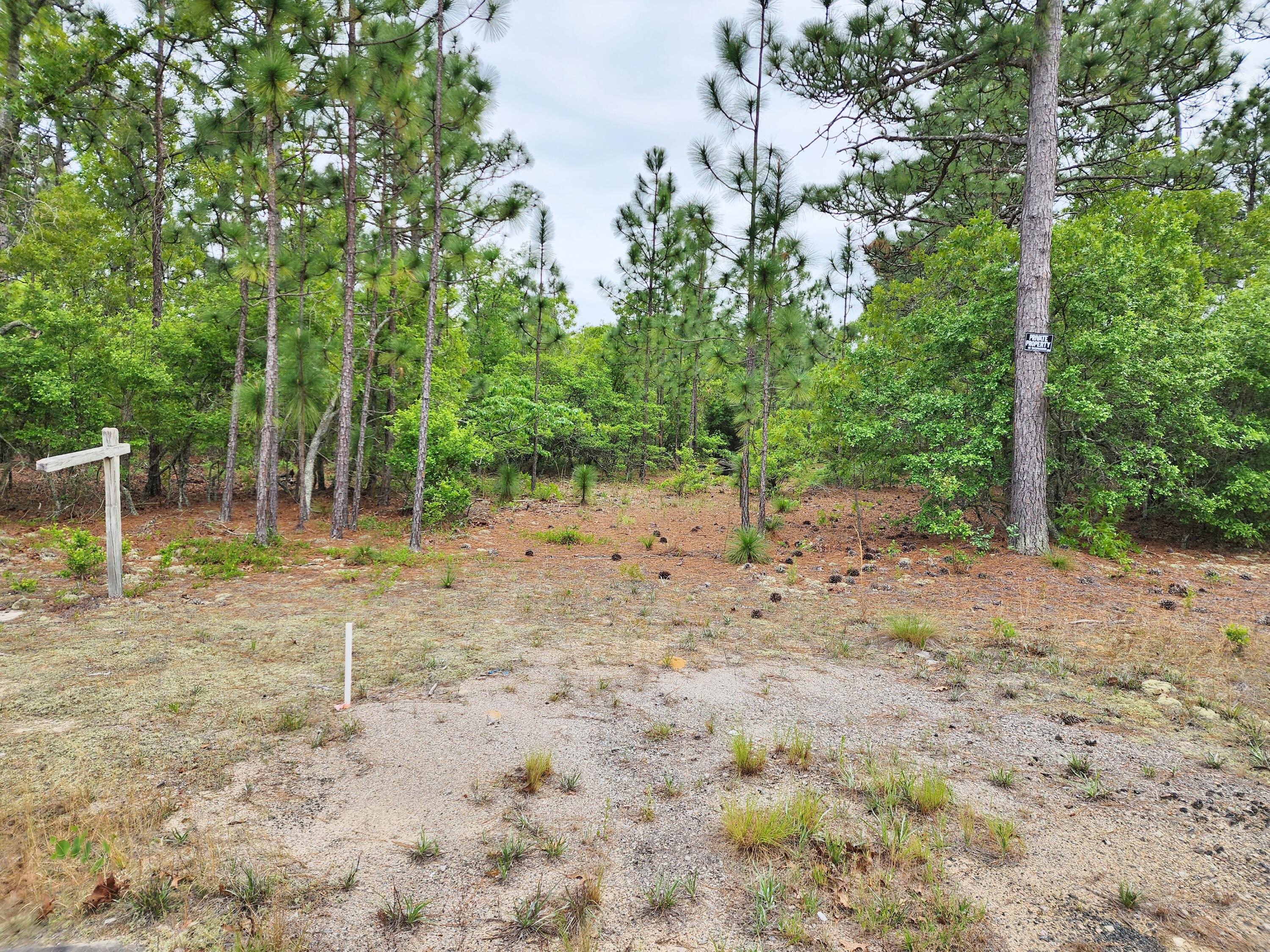 Lot 0 Weeks Road Williston, SC 29853 - Photo 16 of 19 20240427_163736
