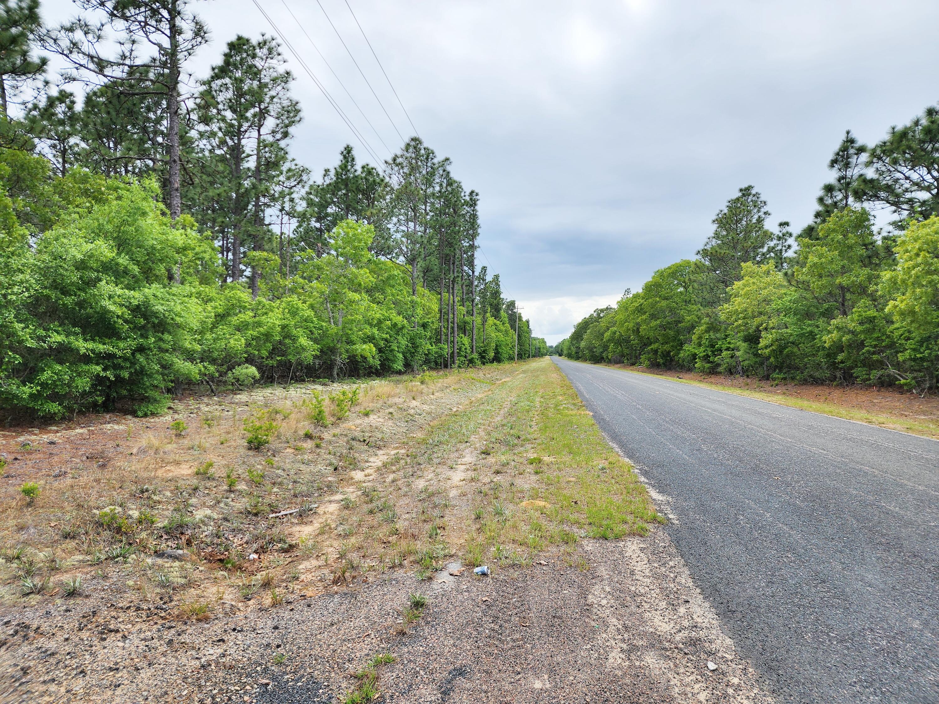 Lot 0 Weeks Road Williston, SC 29853 - Photo 17 of 19 20240427_163739