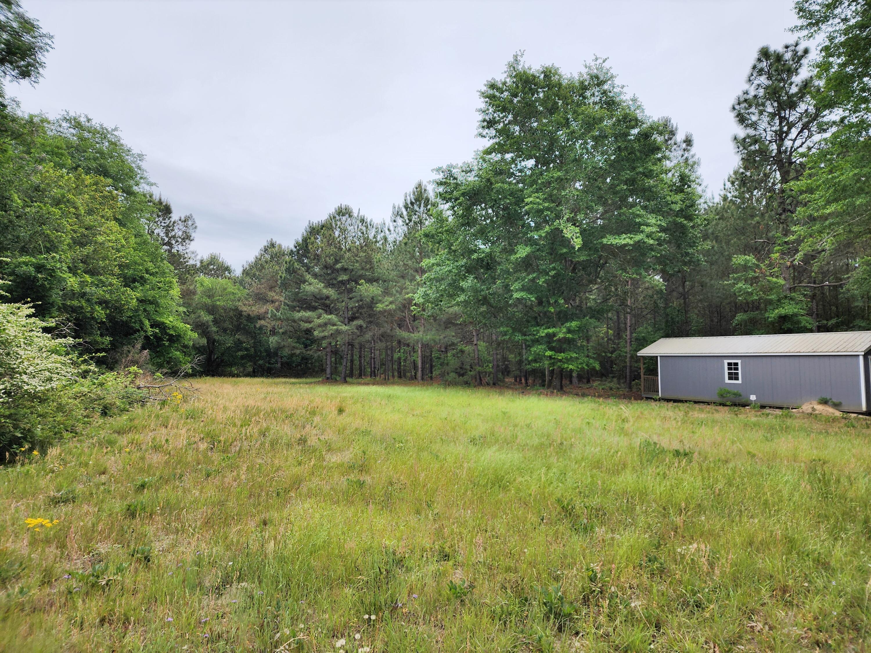 Lot 0 Weeks Road Williston, SC 29853 - Photo 3 of 19 20240427_162014