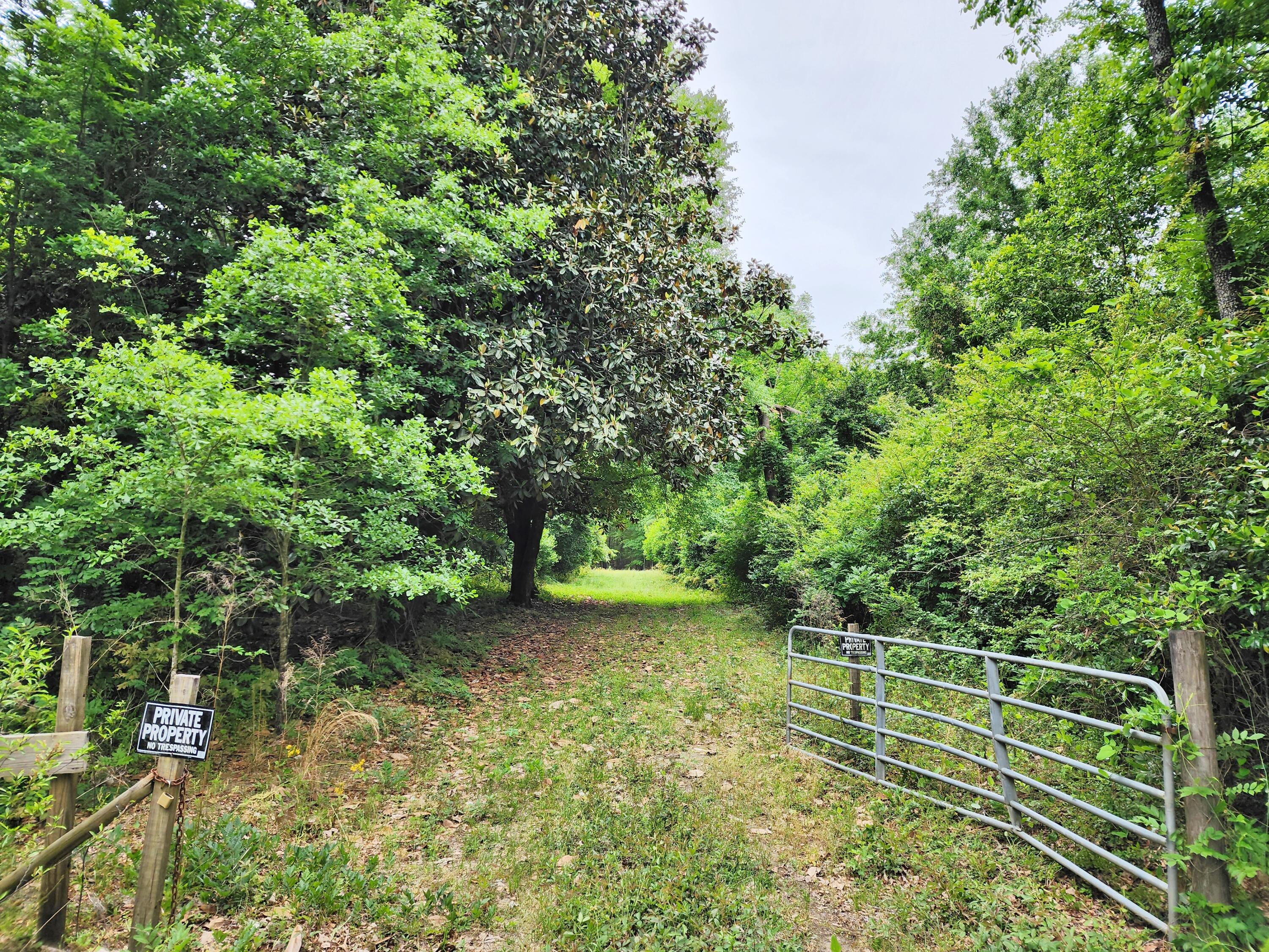 Lot 0 Weeks Road Williston, SC 29853 - Photo 4 of 19 20240427_161909